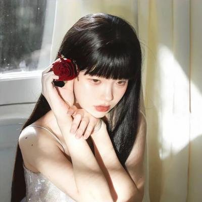 百合熊风暴